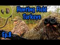 Finally Finding Turkeys on a NEW Property - Watching Strutting Field Turkeys in Mississippi
