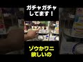 【ガチャガチャ】何が出るか、象かワニが欲しい#shorts #ガチャガチャ #運試し