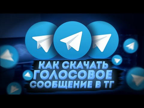 КАК СКАЧАТЬ ГОЛОСОВОЕ СООБЩЕНИЕ В ТЕЛЕГРАММ?!