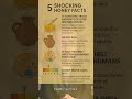 Why Honey is a Superfood 🍯 #honeyfacts #superfoods #healthyliving #healthbenefits