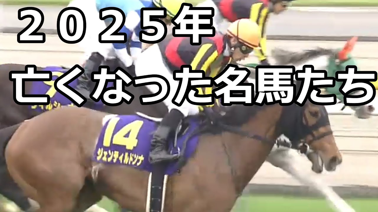 【競馬】２０２５年　亡くなった名馬たち