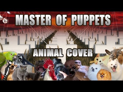 Animallica - Master Of Puppies