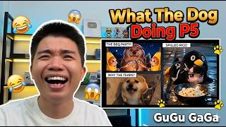 Download lagu What The Dog Doing & PIPI LAPU Phần 5 – Meme Đỉnh Cao, Cười Xỉu Không Lối Thoát 🤣 | Đình Hiền
