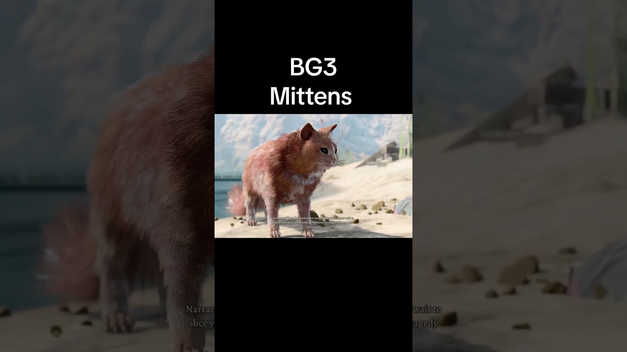 The sword coast is not prepared for this 