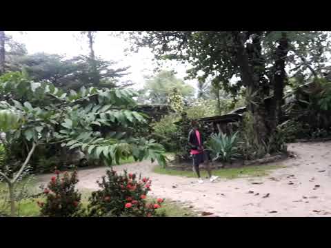 La League Des Premiers Mbolé 237 Danse Show By Roy Lagazette