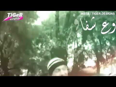 وديع مراد حالة واتس 