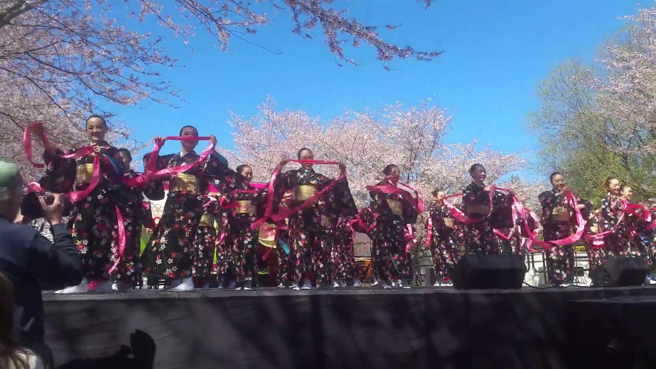 Subaro Cherry Blossom (Sakura) Festival at Fair mount Park