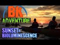 The Best Bioluminescence Kayak Tour. BK Adventure