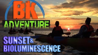 The Best Bioluminescence Kayak Tour. BK Adventure