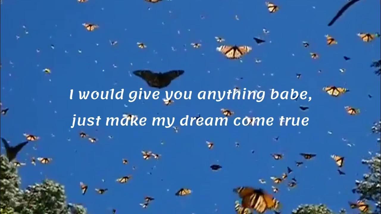 Chasing Butterflies Song For My Dog Lyrics Michael Jackson - Butterflies (lyrics) - YouTube