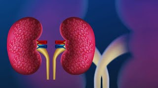 Unlocking Nature's Secrets: Kidney Hacks for 30 Million Patients by Future Health  12 views 3 weeks ago 1 minute, 55 seconds