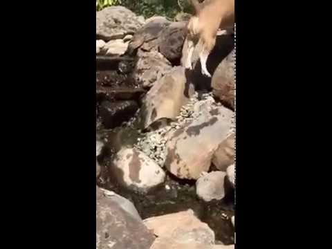 Rock Climbing Fail