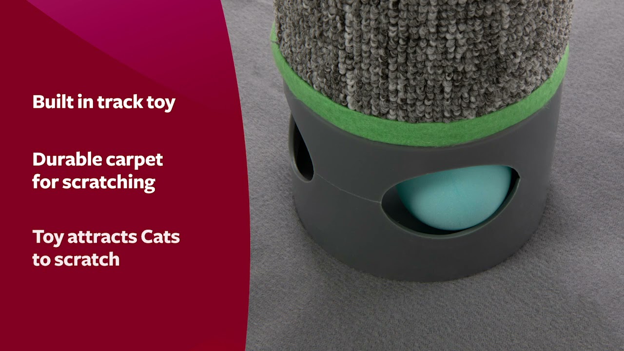 smarty cat scratching post