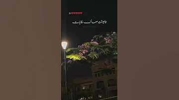 علي الله تشوفني مره ومتجيش جوا حضني وتترمي تامر عاشور 