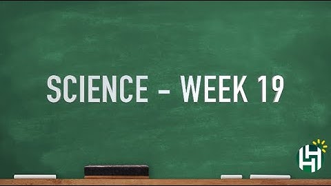 CC Cycle 3 Week 19 Science