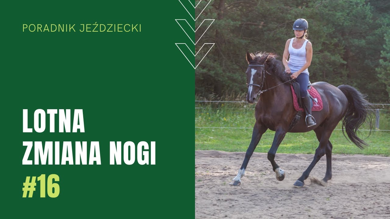LOTNA ZMIANA NOGI | Poradnik jeździecki #16
