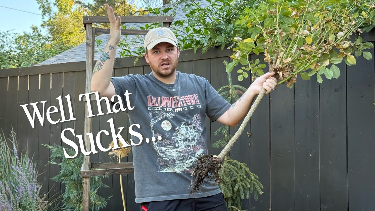 Chatting Through Garden Chores ☕🌱 || Visit Our Garden