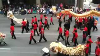 Dragons In The Stampede