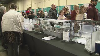 Bald eagle days return to Quad Cities Jan. 9–11 Bald Eagle Days Quad Cities