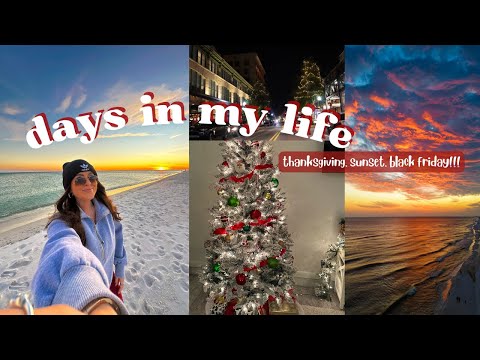 a few days in my life: thanksgiving, sunset, & black friday shopping