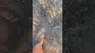 pexels peggy anke 4459031 1080x1920 30fps