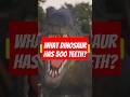 What Dinosaur Has 500 Teeth? 🦖