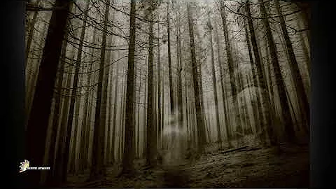 July 31 - 5 August chhunga tawnhriat leh thlahrang video chhuak dahkhawm