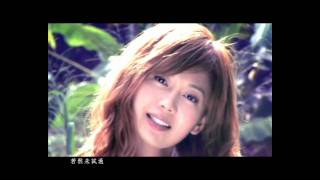 Video thumbnail of "畢加索 Bianca Wu 胡琳"