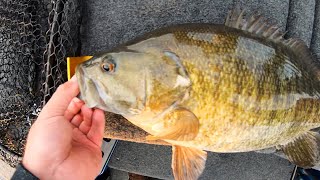 Catching Big Pre-Spawn Smallmouth on Dale Hollow Lake with