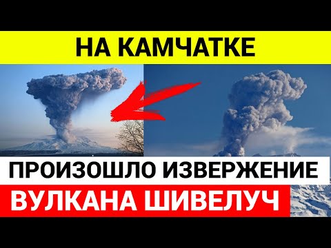 На Камчатке произошло мощное извержение вулкана Шивелуч