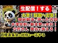 【生配信】大津 韓国へ出国！債権者より韓国！大津パパの会社についても新情報！