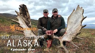 Self-guided Moose &amp; Caribou Hunting in Alaska: Episode 10 - Butchering and Packing Out a Bull Moose