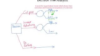 Decision Tree Analysis 1 (structure and calculation) 