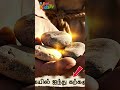 En Dhevan Periyavar P2 #kidsworship #song #biblestoriesforkids #christiananimation #entertainment
