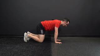 Quadruped Pelvic Tilt