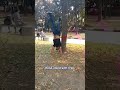 Hand stand with tree #shorts #short #shortfeed #trending  #youtubeshorts  #sports#handstandtutorial