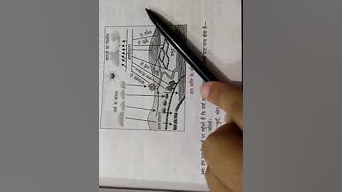 Class X Home Science chapter 6 (part 2)