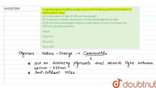 A pigment appears yellow-orange in the chromatogram and found in leaves of higher plants, helpsl...
