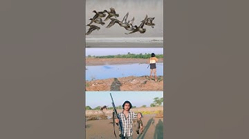 Duck hunt in pakistan #shorts #viral #trending #video