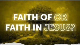 Discussions on Faith & Federal Vision