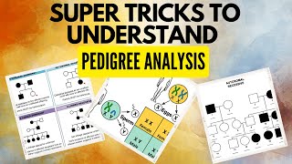 Human Pedigree Analysis | Principles of Inheritance & Variation ​