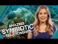 Extreme Animal Relationships | Earth Unplugged