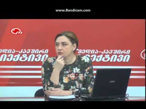ანა დარსალიას განცხადება \"მედია-კავშირ ობიექტივში\"