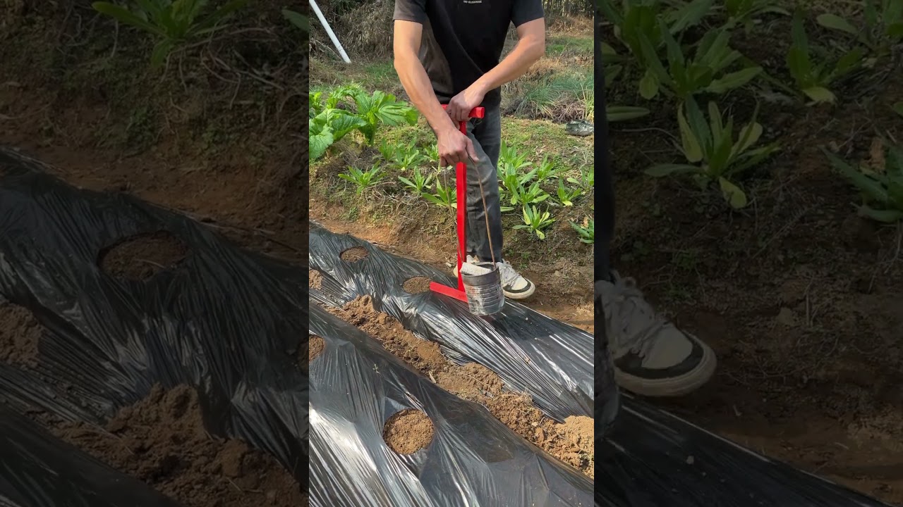 Handheld Hole Cutter