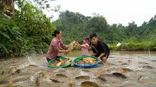 Harvesting Giant Carp from the Pond | Catch, Sell and Cook Fresh Fish - Lý Thị Nhim
