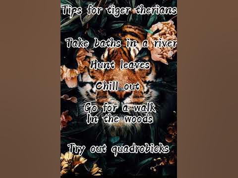 Tips for tiger therians. Here you go 😊 hope this helps - YouTube