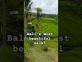 Walking through Bali's greenest paradise - Jatiluwih rice terraces #walkingtour #naturewalk