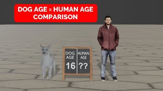 Age of Dog in Human Years