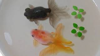 Make Lifelike 3D Aquariums With Paint Cast In Resin | Resin Art | DIY Arts and Crafts