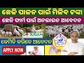 Goat farming in odishagoat farming subsidy scheme apply onlinego sugam portal goat farming apply